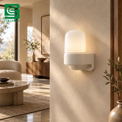 Porcelain Sauna Light
