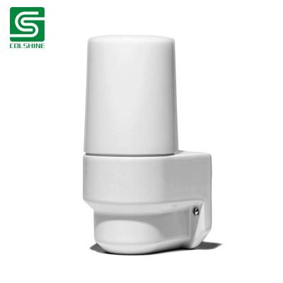 sauna ceiling light