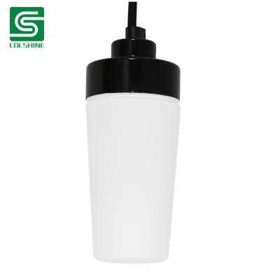 sauna ceiling lamp